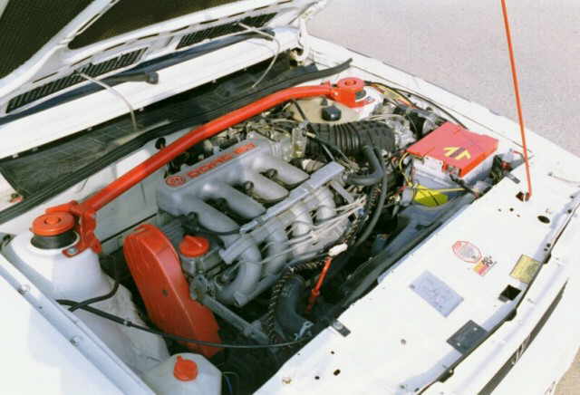 pic04.jpg (34957 Byte)